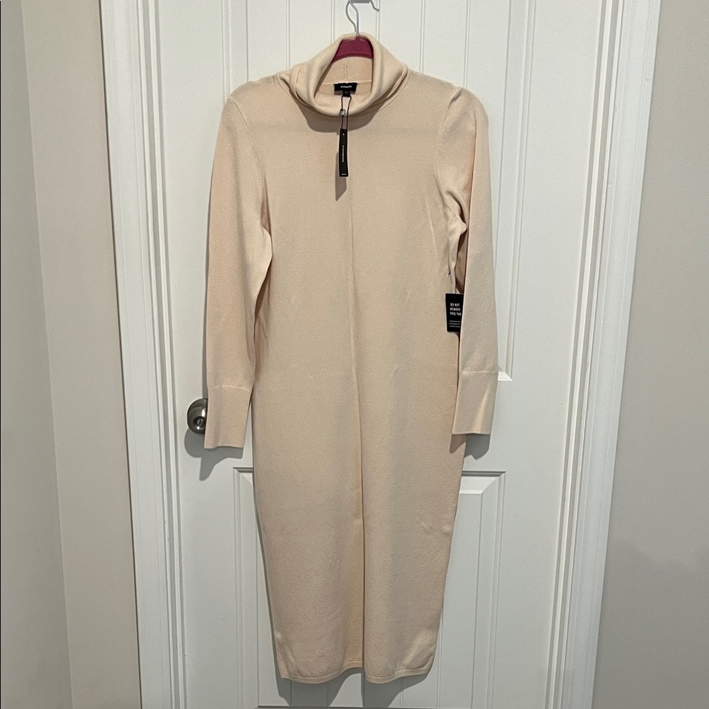 Express Cream Turtleneck Sweater Dress
